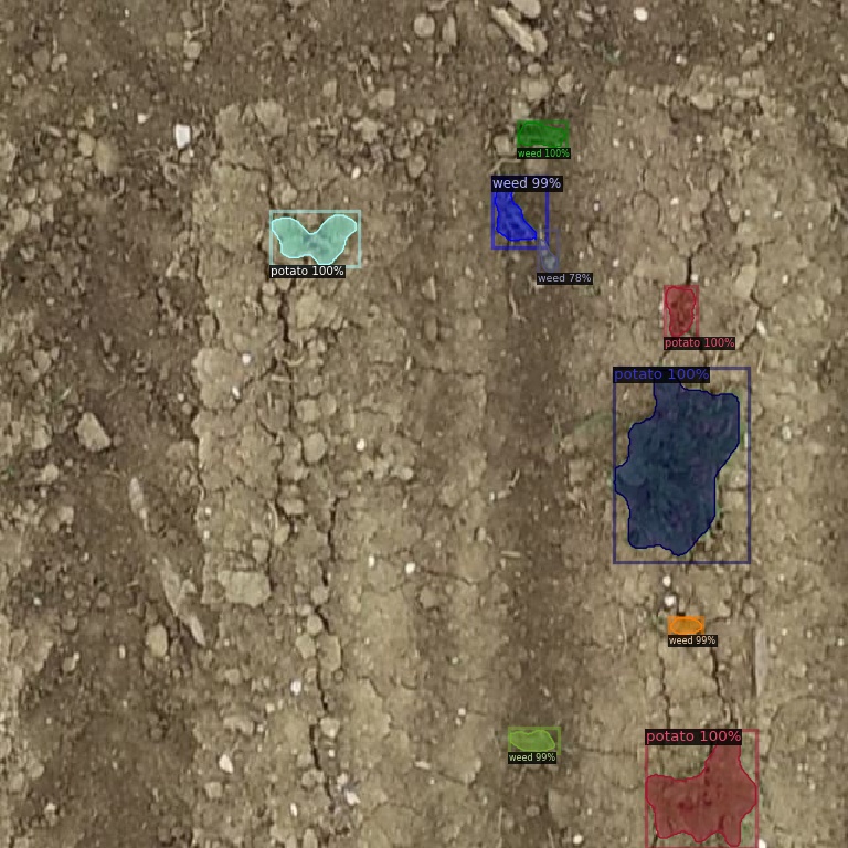 Our Advanced Weed Detection Model